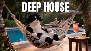 Morning Always Comes | Melodic Deep House | House Cat Radio