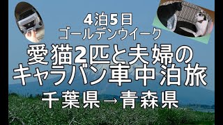 猫連れ千葉県→青森県 車中泊旅♯