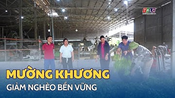 Giảm nghèo bền vững ở Mường Khương | THLC