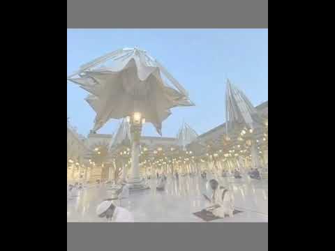 لي زيارت الرسول تم لي ياسيدي القعاد طال بي كلمات ابوبكر ودالتوم ادا المادح مدثر عوض الجيد 