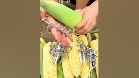 corn peel removal tool……#garden #viral #gardening #youtubeshorts #trending #satisfying #shorts