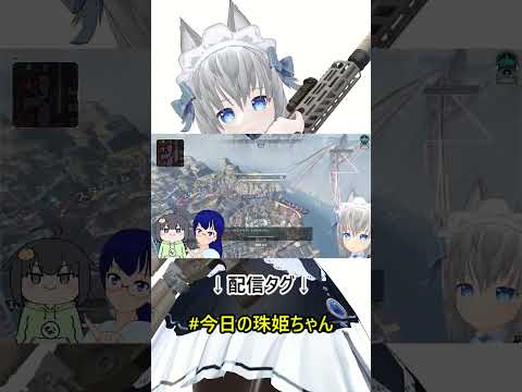 【APEX】チャットテロルを許すな【VTuber】