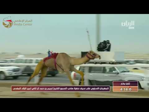 ختامي الشحانية ثنايا للقبائل 11 3 2017 ص ش1 شهد ل مبارك محمد أحمد شملان الفلاحي 12 35 1