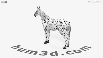 Knabstrupper horse 3D model by 3DModels.org