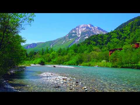 BioPhony | The Relaxing Sound Of River | Japanese Alps