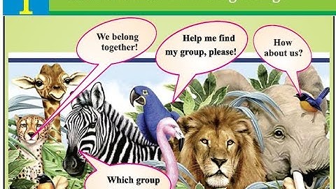 Class 5 Science Chapter 1 from STBB publisher book for PST and JEST Test preparation