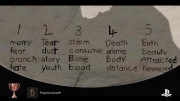 Playroom Puzzle Trophy- Fear Effect (PS5 Pro)