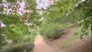 theU.com - UNC Chapel Hill: The Setting