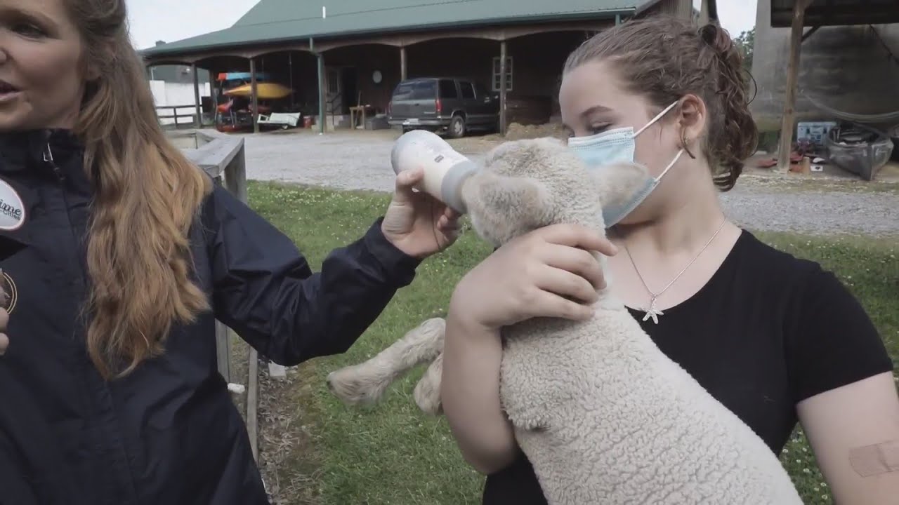 Daytime LIVE at Holston United Methodist Home for Children-Part 3