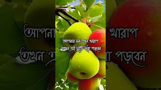 মন খারাপ থাকলে এই দুটা সূরা পড়বেন Mizanur Ranman azhari NASIM HEZAZI shorts dua viral islam