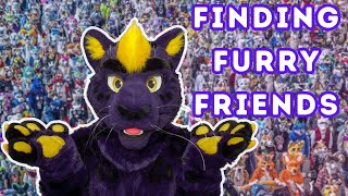 How to FIND YOUR FURRY FRIENDS