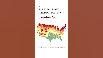 2023 Fall Foliage Predictions Map of the US