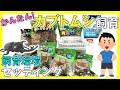 カブトムシが長生きする飼育環境セッティング！/カブトムシの飼い方【カブトムシ飼育#6】