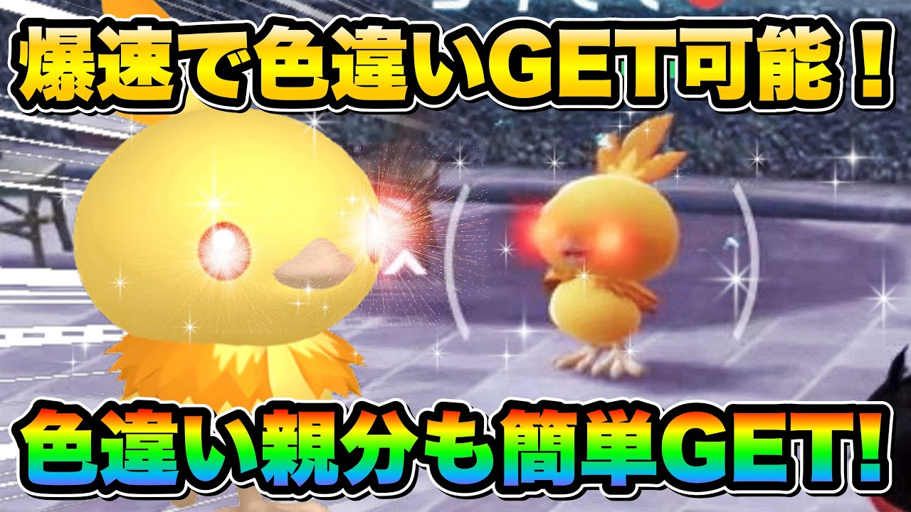 【入った瞬間に出現】色違い親分アチャモを効率的に手に入れる方法！【ポケモンZA色違い厳選】