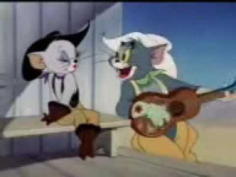 Main Chahta hu tujhko dilo jaan ki tarah tom and Jerry whats app video