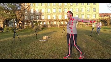 Illumination-invariant Robust Multiview 3D Human Motion Capture - WACV2018