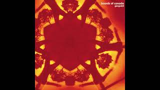 Boards Of Canada - Opening the Mouth