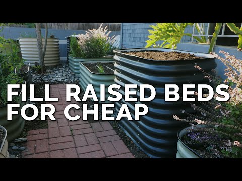 Video: Soil Depth For Raised Beds - Learn How Deep To Fill A Raised Bed