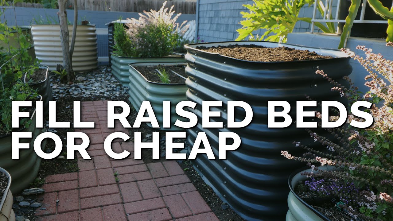 Planting a Raised Bed: Tips on spacing, sowing, and growing