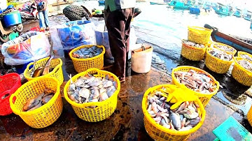 Cảnh quan sáng sớm nhộn nhịp trên cầu cảng cá thị trấn An Thới, Phú Quốc, Kiên Giang 31/01/2023