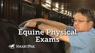 Equine Physical Exams