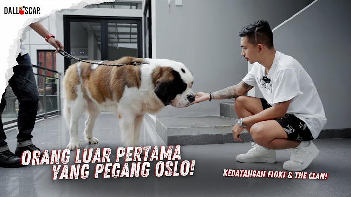 Orang Luar Pertama Yang Bisa Pegang OSLO!!! @Flokiandtheclan Main ke Dalloscar!