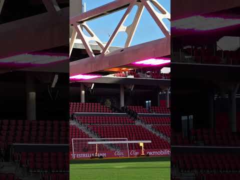 Cuidando la moqueta de Son Moix ♨️😚