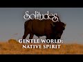 Capture de la vidéo Dan Gibson's Solitudes - Great Spirit | Gentle World: Native Spirit