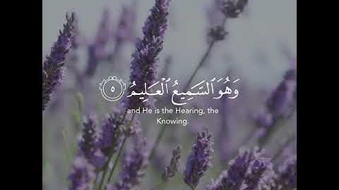 سورة العنكبوت / القارئ :هيثم الدخين