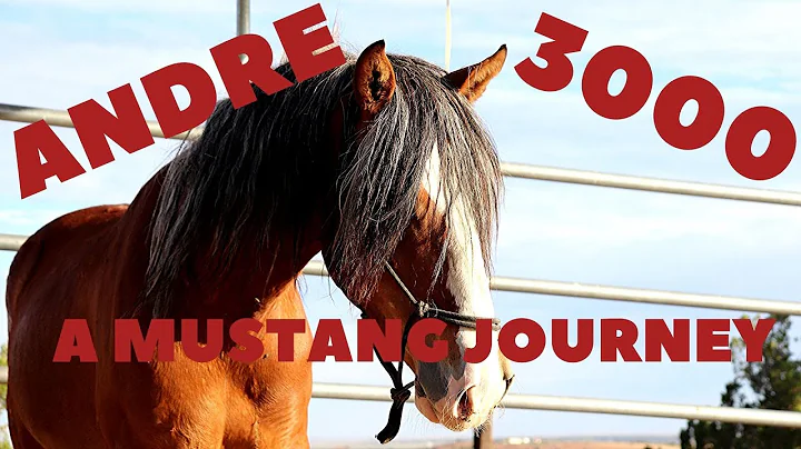 Andre 3000's Journey from Reject to Dream Horse