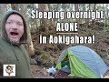 Sleeping overnight ALONE in Aokigahara forest!