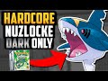 Can i beat a pokmon emerald hardcore nuzlocke with only dark types pokmon challenge