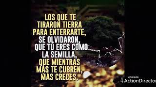 Mensaje de vida Imágenes motivacionales screenshot 2