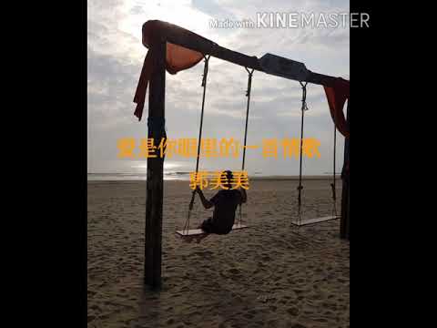 爱是你眼里的一首情歌  郭美美  歌词