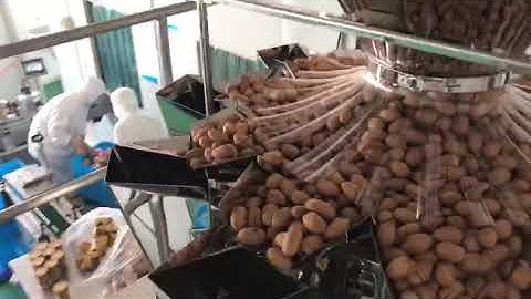 semiautomatic 10 head weigher bucket conveyor walnuts packing machine in jars