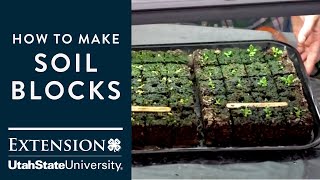 how to make your own soil blocks to start seeds indoors