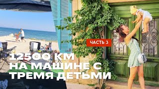 :  3: 12500     ,  2024  (: , , )