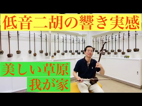 ✳️二胡 古い家の物置から出て来ました。 素人には手