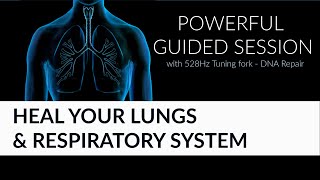 Lungs &amp; Respiratory System ::: Powerful Guided Healing with 528Hz tuning fork - DNA repair