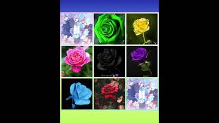 Choose Your Handsome Man