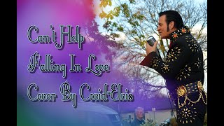 Cant Help Falling In Love Cover Of Elvis Presley
