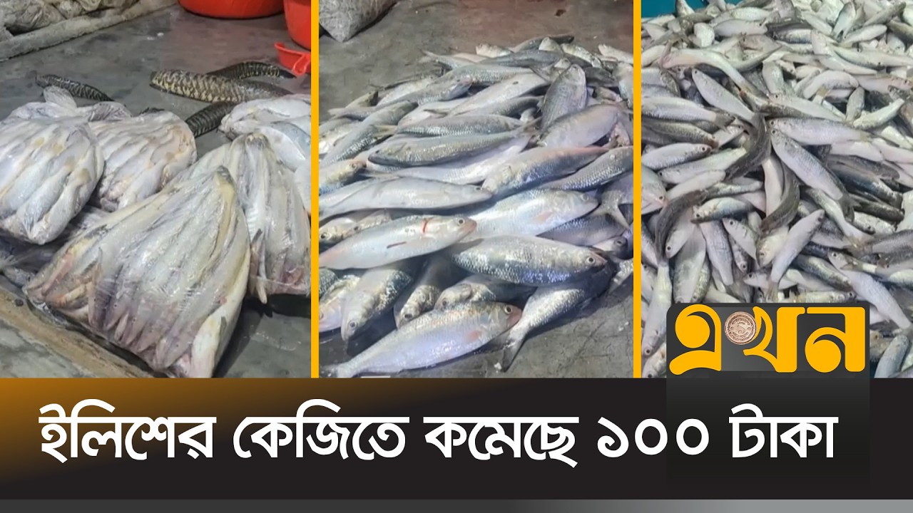 প্রকারভেদে কমেছে সব ধরনের মাছের দাম | Fish Market | Frice Droped | Patuakhali | Ekhon TV