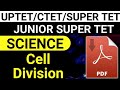 cell division all phase working anaphase working meta phase function cytoplasm nucleoplasm nucleus