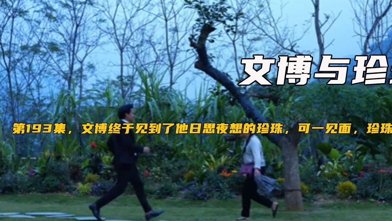第193集，文博終于見到了他日思夜想的珍珠，可壹見面，珍珠就暈倒了《文博與珍珠》