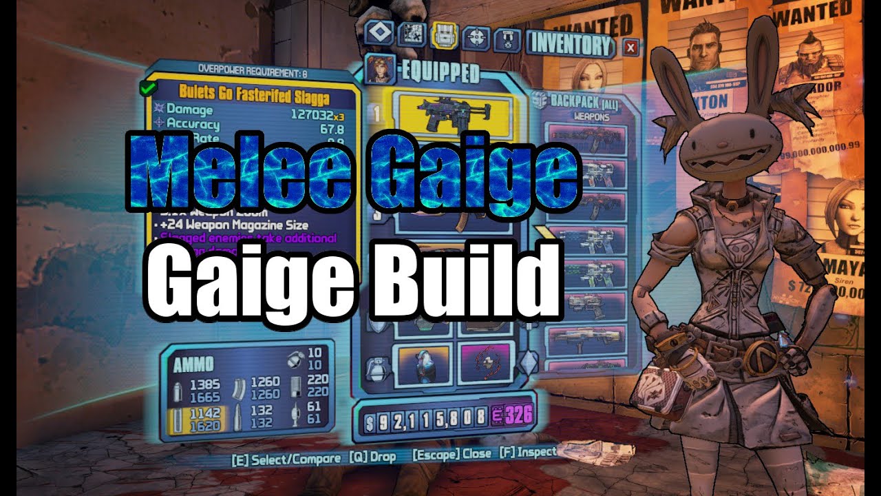 borderlands 2 mechromancer build best