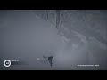 STEEP Eulen sind unsere Freunde
