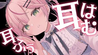 Naco Ch. 餅月なこの配信のサムネイル画像