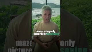 Can Ai Actually Think Visually?