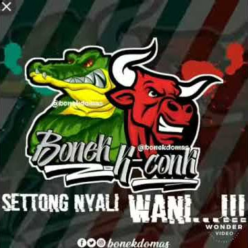 BONEK.. VIKING..K CONK