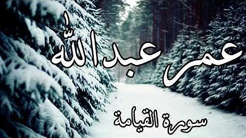 القارئ عمر عبد الله سورة القيامةِ"